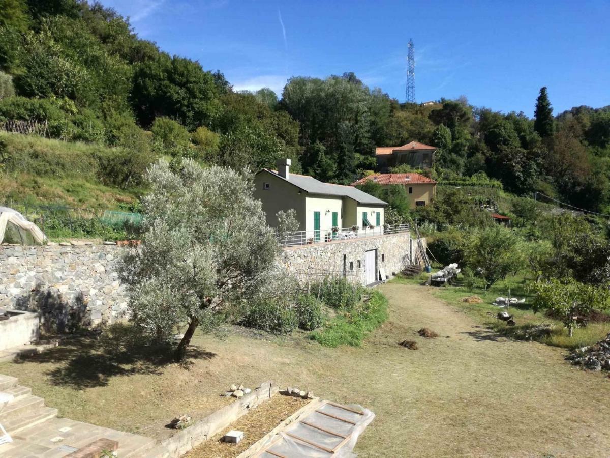 Agriturismo Verdure Naturali Genoa